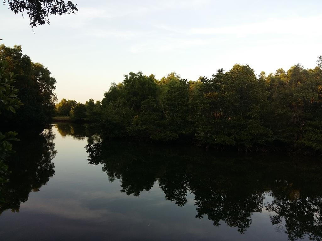 Mangroves & More @ Cambodia Σίχανουκβιλ Εξωτερικό φωτογραφία