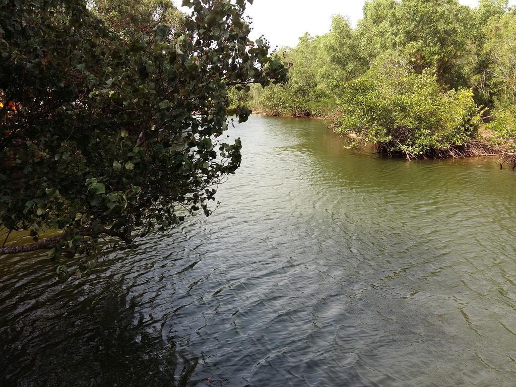 Mangroves & More @ Cambodia Σίχανουκβιλ Εξωτερικό φωτογραφία