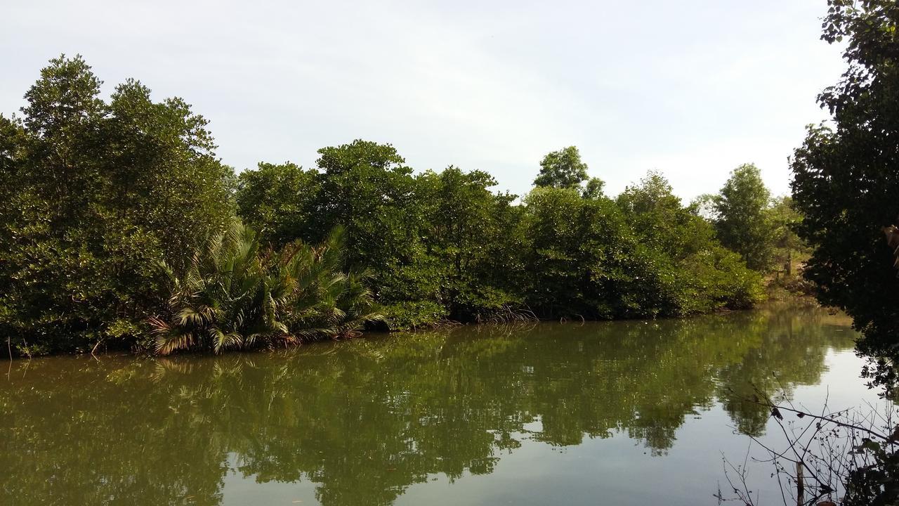 Mangroves & More @ Cambodia Σίχανουκβιλ Εξωτερικό φωτογραφία